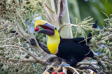 costa_rica_info_center