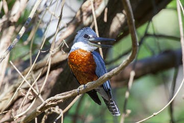 costa_rica_info_center