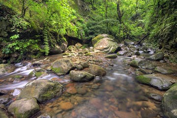 costa_rica_info_center