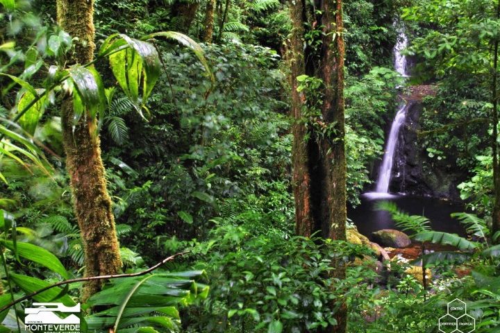 costa_rica_info_center