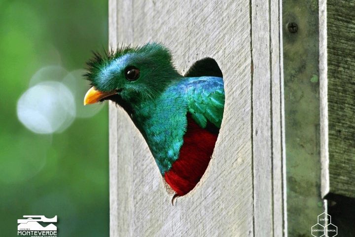 costa_rica_info_center