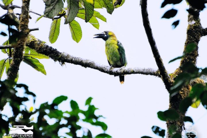 costa_rica_info_center