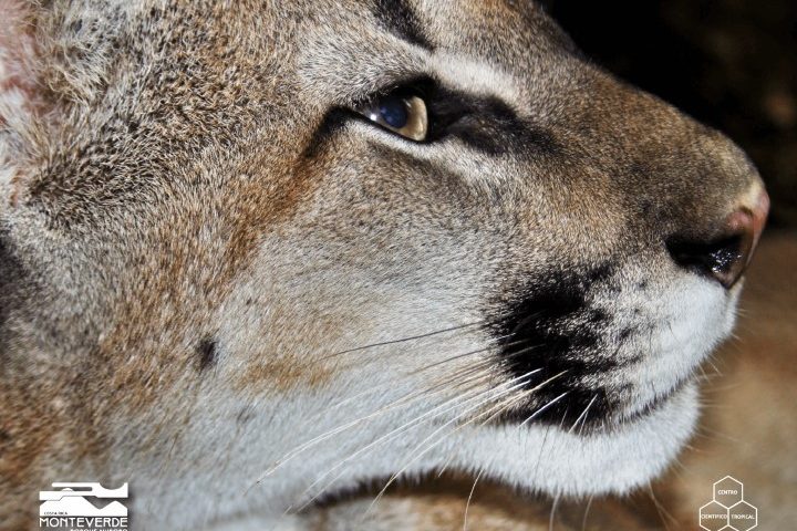 costa_rica_info_center