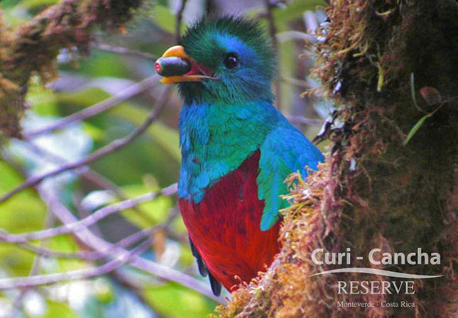 costa_rica_info_center