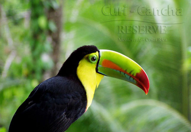 costa_rica_info_center