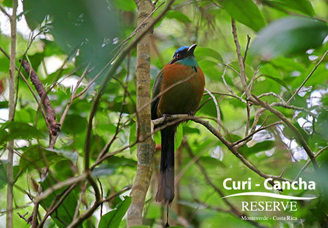 costa_rica_info_center