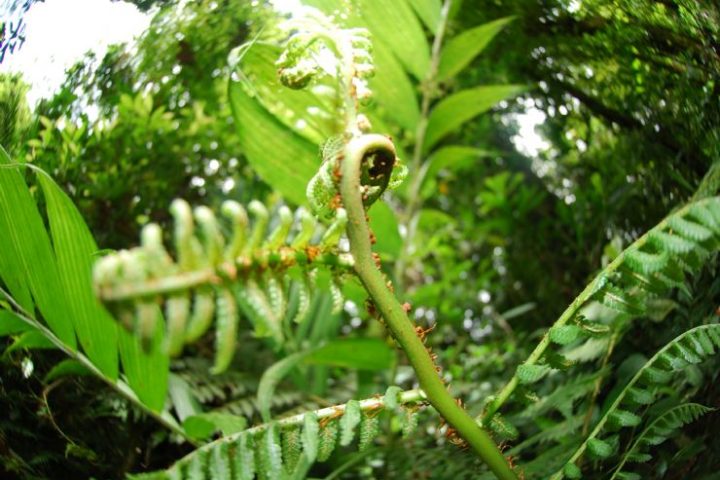 costa_rica_info_center