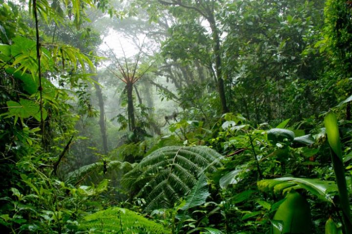 costa_rica_info_center