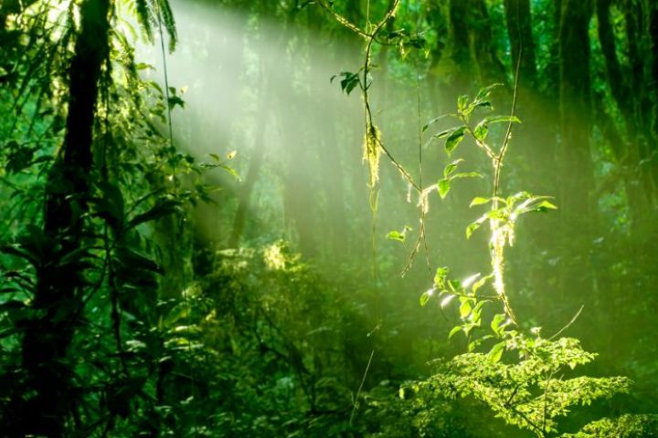 costa_rica_info_center