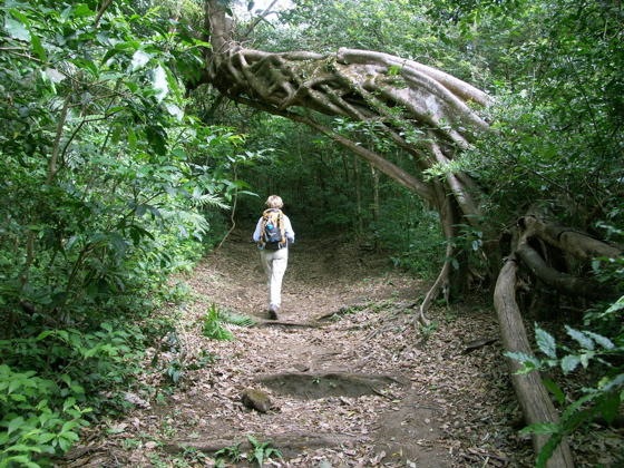 costa_rica_info_center