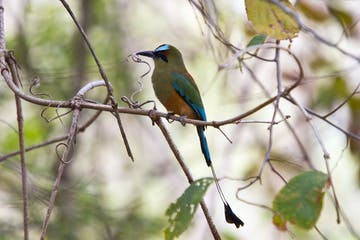 costa_rica_info_center