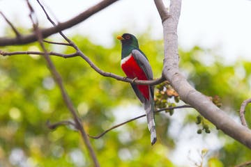 costa_rica_info_center