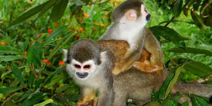 costa_rica_info_center