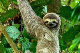 costa_rica_info_center