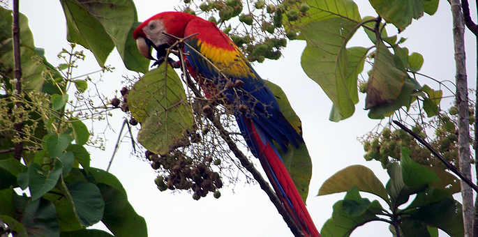 costa_rica_info_center