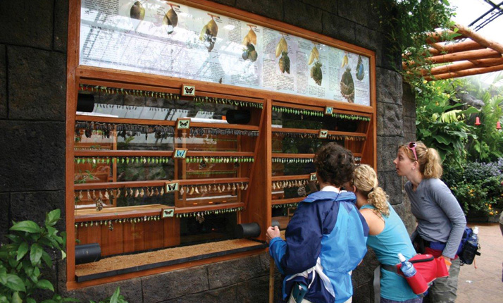 68_-_national_park_-_poas_volcano_3-in-1_13