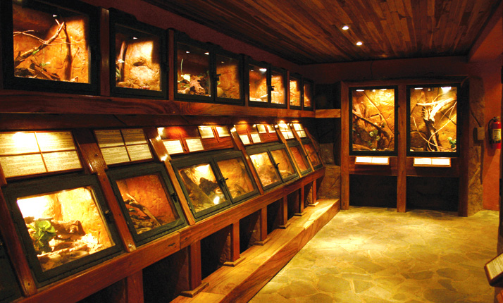 68_-_national_park_-_poas_volcano_3-in-1_16