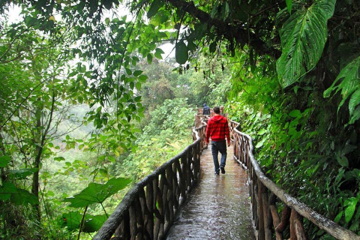 68_-_national_park_-_poas_volcano_3-in-1_22