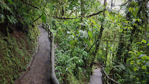 68_-_national_park_-_poas_volcano_3-in-1_23