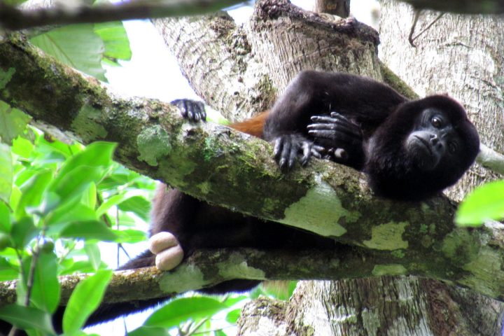 costa_rica_info_center