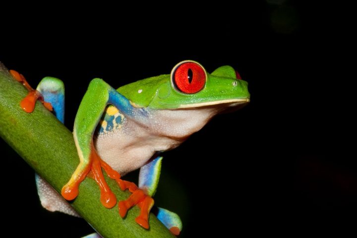 costa_rica_info_center