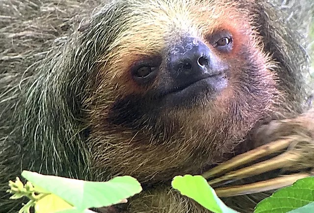 costa_rica_info_center