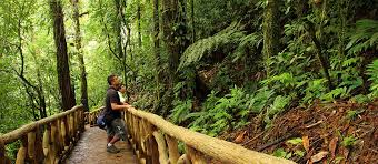 costa_rica_info_center