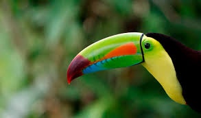 costa_rica_info_center